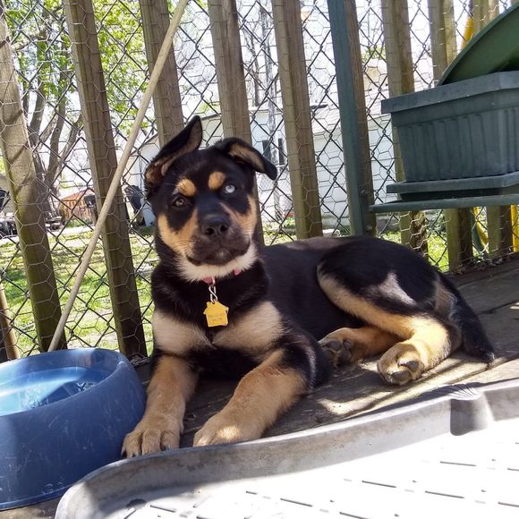 Meet your Posher, Teresa - Picture 7 of 9